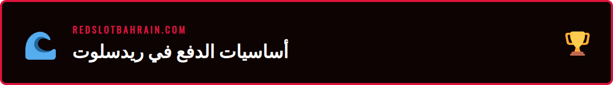 رسوم توضيحية لمتطلبات عملية مدفوعات ريدسلوت الآمنة للمستخدمين